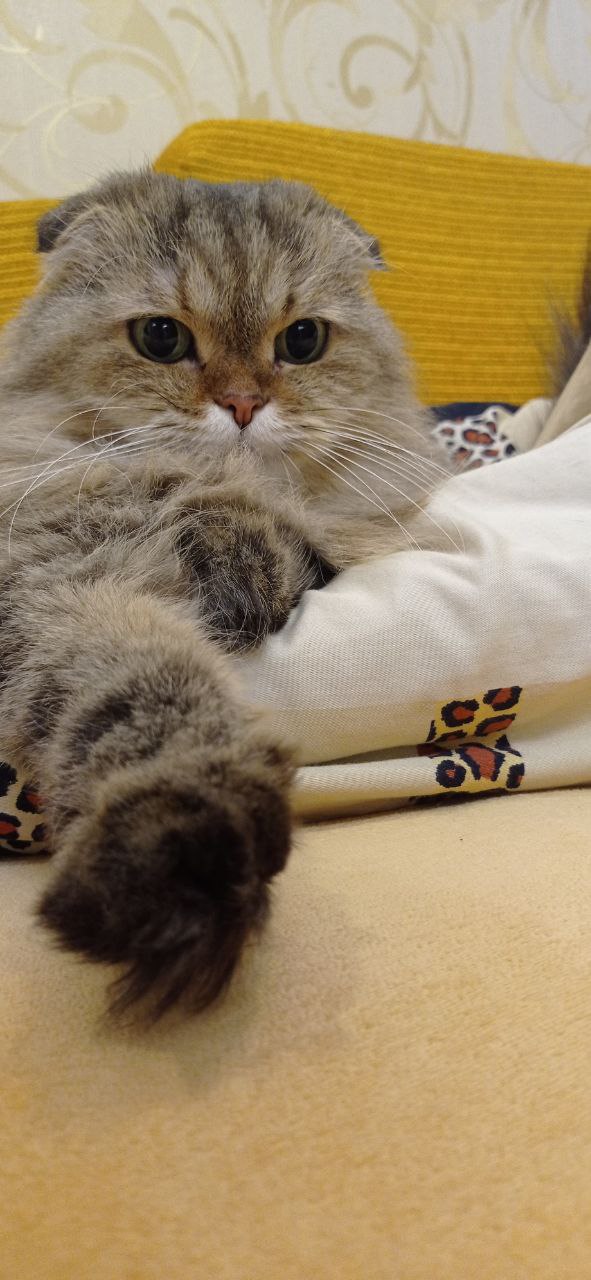 О погоде на 26 января. В Краснодарском крае облачно О погоде на 26 января. В Краснодарском крае облачно