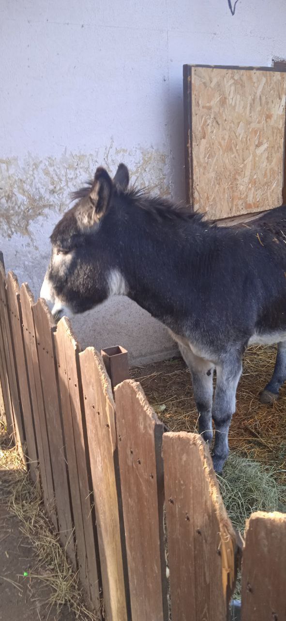 О погоде на 26 января. В Краснодарском крае облачно О погоде на 26 января. В Краснодарском крае облачно