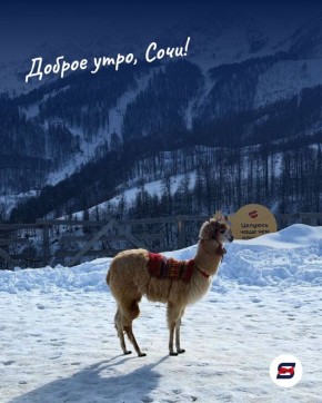 Доброе утро!. Пусть сегодняшний день будет спокойным, продуктивным и наполненным приятными мелочами