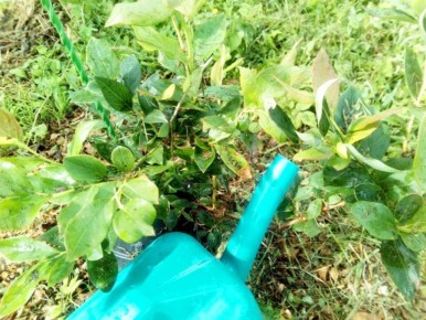 �������� � ����� ����: ��� ��������� ������� ���������