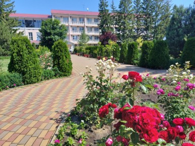 ���� � ���������� ������ ��� ������� ��������: ��� ������� ������� � ���������