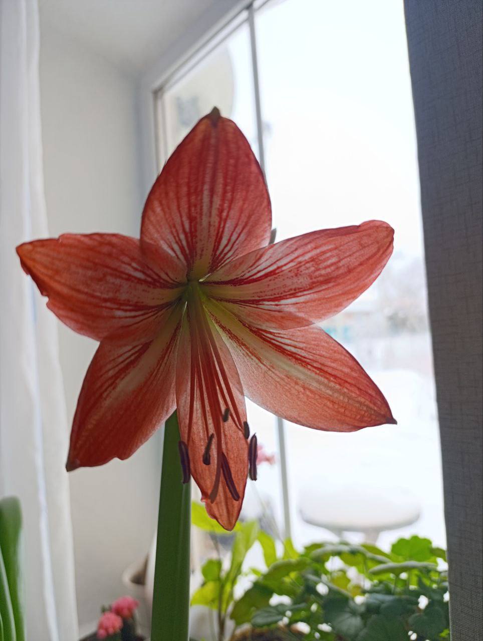 О погоде на 27 января. В Краснодарском крае облачно с прояснениями О погоде на 27 января. В Краснодарском крае облачно с прояснениями