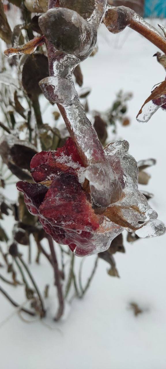 О погоде на 27 января. В Краснодарском крае облачно с прояснениями О погоде на 27 января. В Краснодарском крае облачно с прояснениями