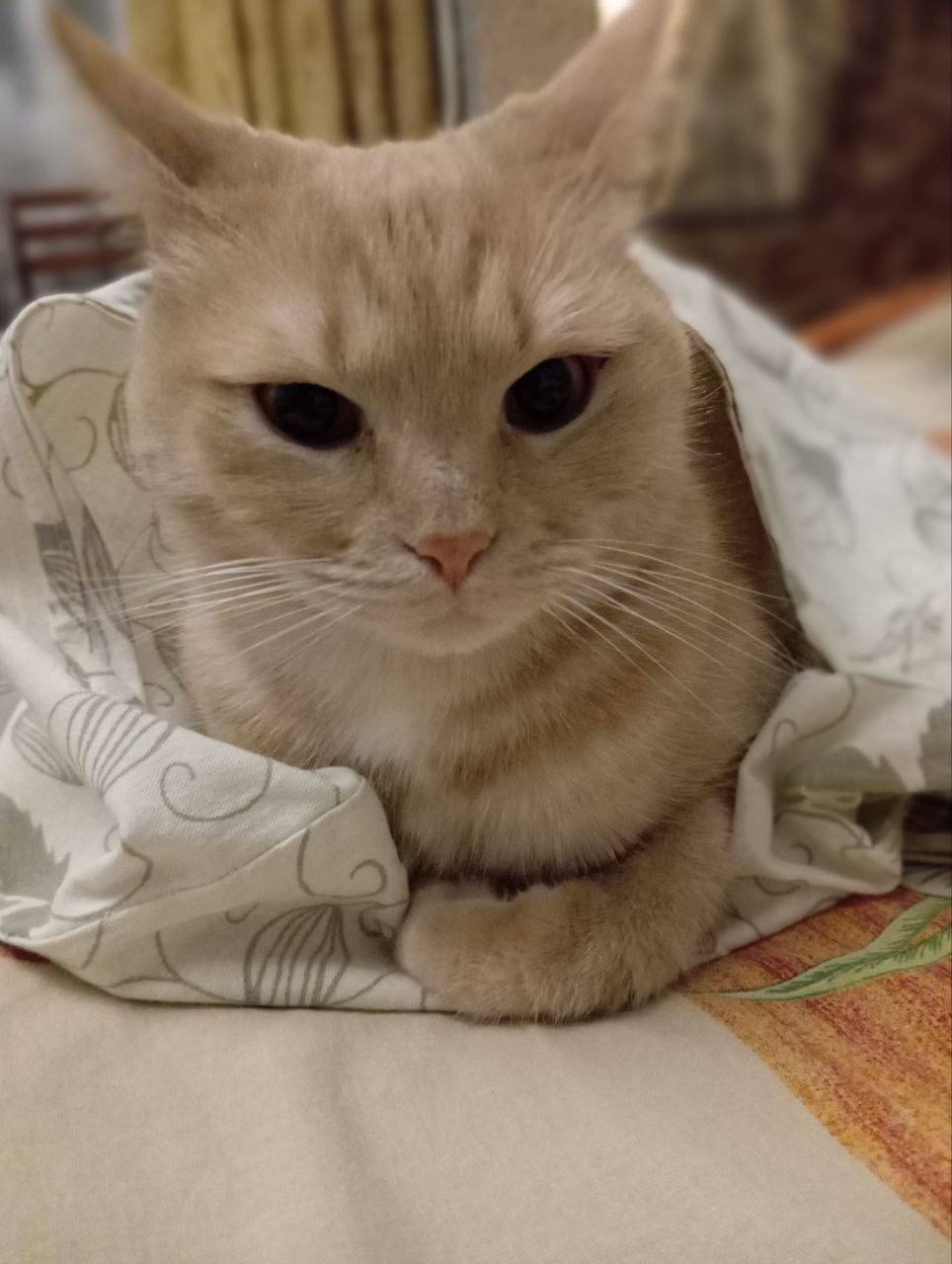 О погоде на 27 января. В Краснодарском крае облачно с прояснениями