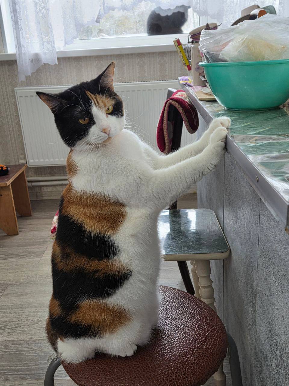 О погоде на 27 января. В Краснодарском крае облачно с прояснениями О погоде на 27 января. В Краснодарском крае облачно с прояснениями