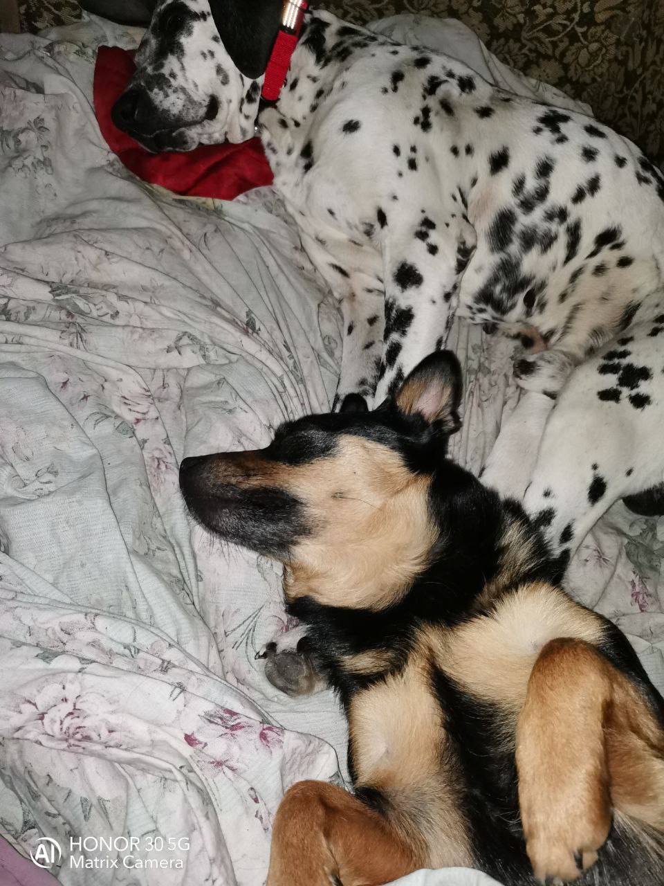 О погоде на 27 января. В Краснодарском крае облачно с прояснениями О погоде на 27 января. В Краснодарском крае облачно с прояснениями