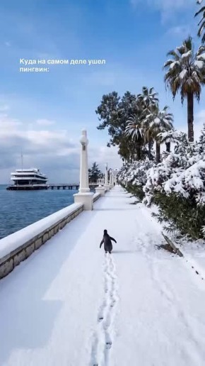 ���� ���� �������? ��������� ������ ������ ���� 2026 ����