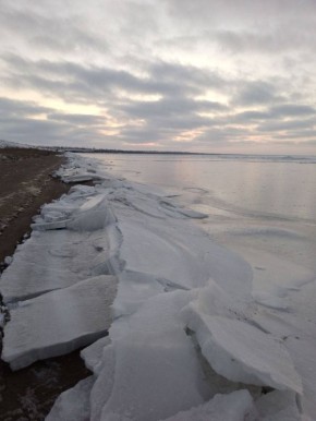 � ������ �� 28 ������. � ������������� ���� ������� � ������������