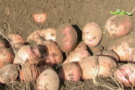 ��������� � ����� � ����� �������� � ������������� �������