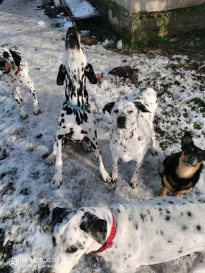 � ������ �� 29 ������. � ������������� ���� ���������� ����������