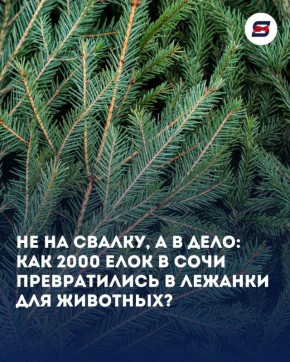 ������ ����� ���������� ������: � ���� ������������ ����� 2000 ����!