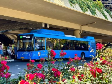 105-� ������� � ����: ������� ������ � ����� �����*!