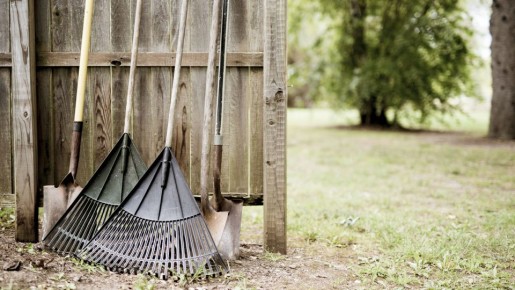 ������ �� ������ ������� ����� ������ ��� ������: �������� �� ������� ���� ������