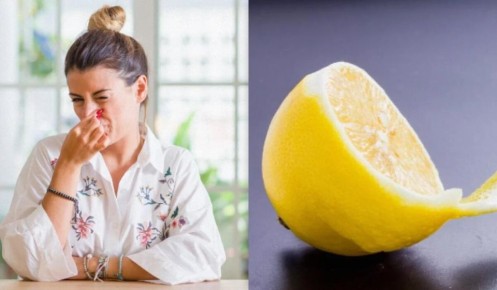 ��� ���������� �� �������� ������: ����������� ������ � ������