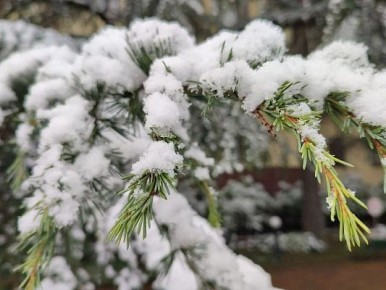 � ����� ���� ����� ����.. �� ����� ��� 1 ������� ��������� ������������ ������� �������� � ����� ������� �� 20�25 �� �������