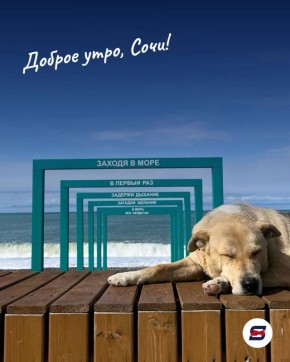 Доброе утро!. Пусть сегодняшний день будет лёгким, наполненным хорошими новостями и спокойным настроением