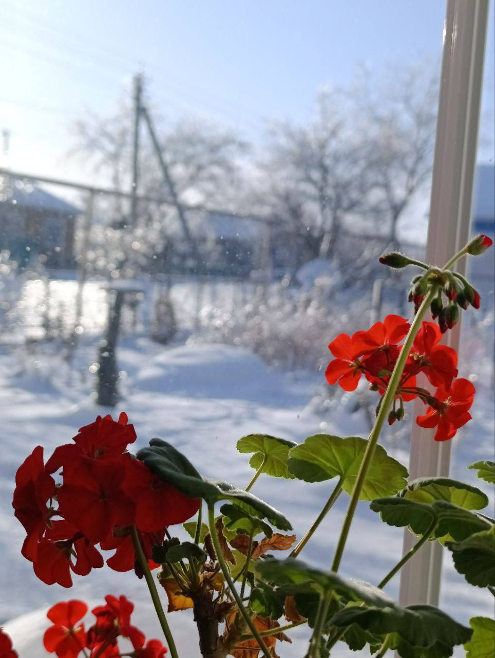 О погоде на 1 февраля . В Краснодарском крае облачно с прояснениями О погоде на 1 февраля . В Краснодарском крае облачно с прояснениями