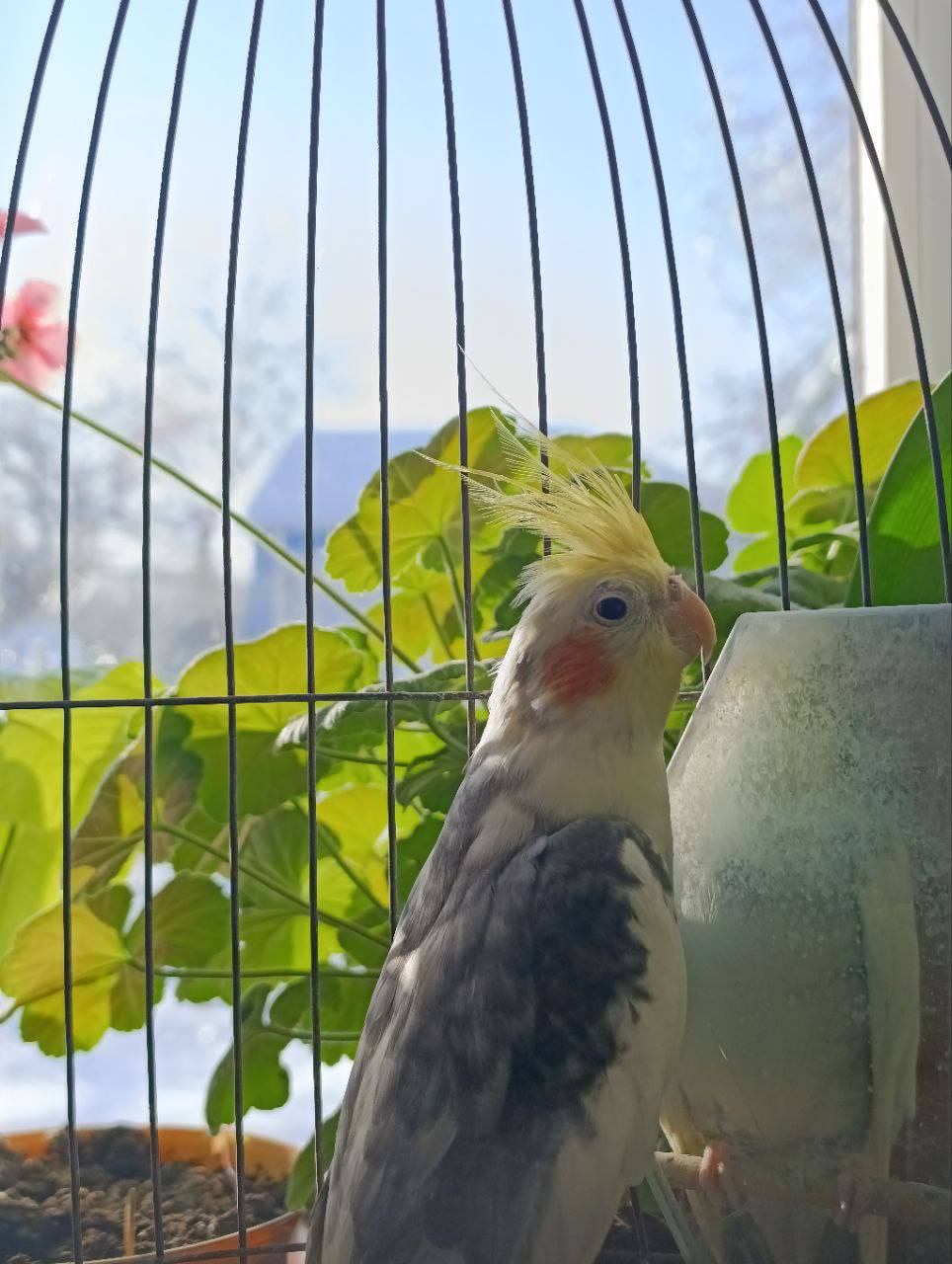 О погоде на 1 февраля . В Краснодарском крае облачно с прояснениями