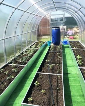 ����� � �����: ����������� �������� ��� ����� �������