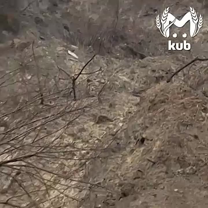 "������ ����� ���". ���� ��������� ����� ������� �������, ��� � ����� ������� �� ����