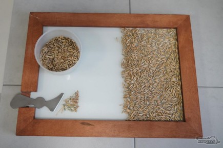 �� ������� ����� �������� ����������� �������� �����