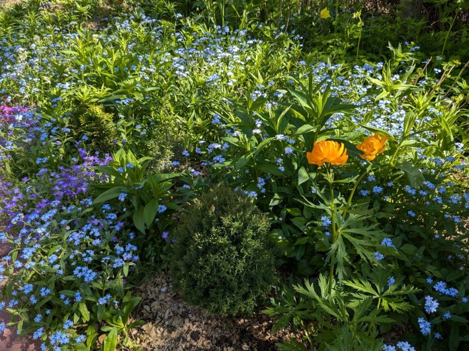 Уникальные воспоминания: почему читатели влюбились в рубрику мемуаров