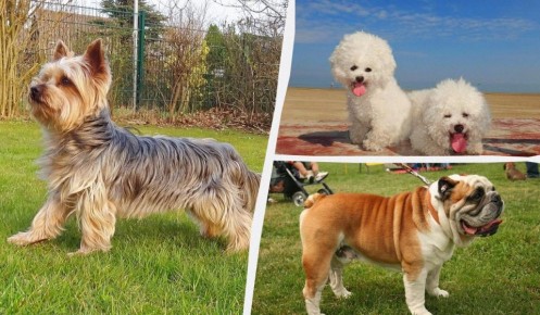 ��������� ����������: 9 ����� �����, ��������� ��� ����� � ��������