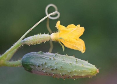 ���-3 ������� ������� ��� ��������� ���������