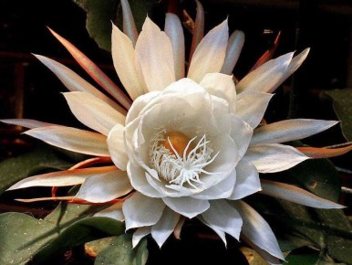 ����� ������� ��������� ��������: ���� ��������� �������� � ��� ���� ������