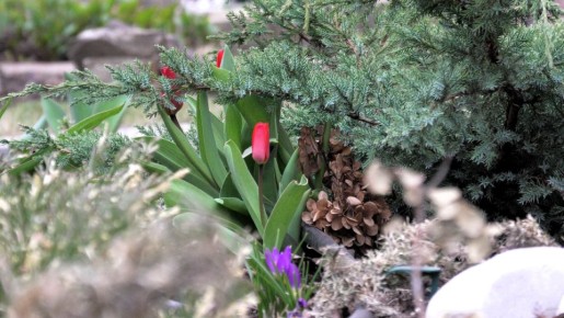 ����� ���������: �� �������� �� ������������ ������ � ����