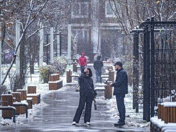 Снег за окном, а день проходит без лишних забот