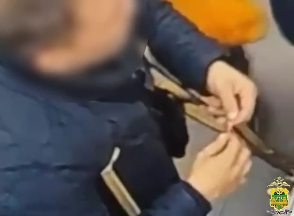 ����� ������ - ���� ���������� ���������� ����: � ���� �������� ����� ��������