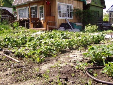 ��� ���������� �� ����������: ������������ ����������� ��� ���������