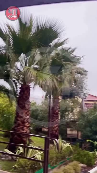 � ��������� ������ ���� ������ ������