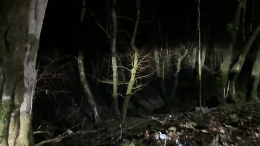 08.02.2026 � 18:30 �� ��. ������������, � ������ �. 93, ����������� ������ �. ���� (��� "�������-6"), �������� 1985 ���� ��������, �������� ����������� ��������, �� ������ ����������� ������ �� ������ ��������...