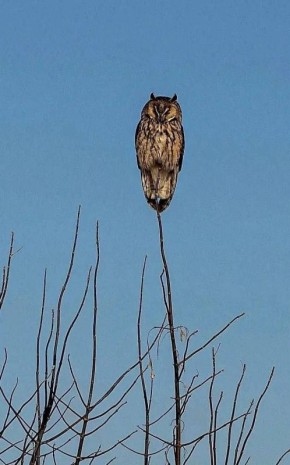 � ������ �� 10 ������� . � ������������� ���� ���������� ����������