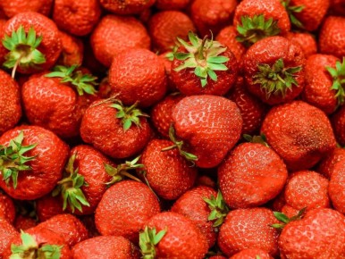 ��� ������ ������ �� ��������: ��������� ���� �� ������� �������