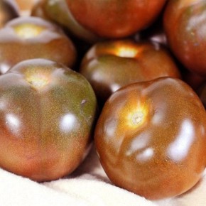 ����� ���� ���� ������� ����������: ������������ ������� ��� ������ �������