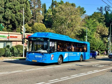 ������ ����. ����������� ��� � ����������� ���������� ����� � Telegram | MAX