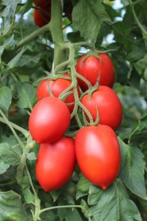 ����� �������: ��������� ����� ��� ������ � ��������� ������