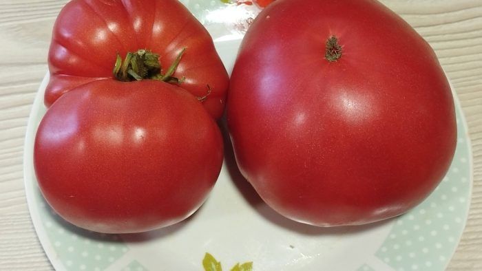 ����� ������: ������� ������ � ������� ����� ��� ������� ����