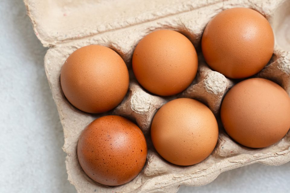 ���� �� �������: ���� � ����� � �� ����������