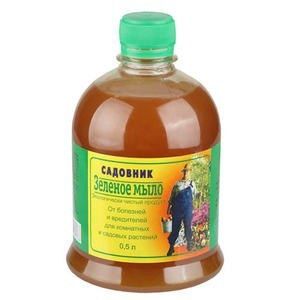 ��������� ��� ��������� ��������: ��� ����� �����