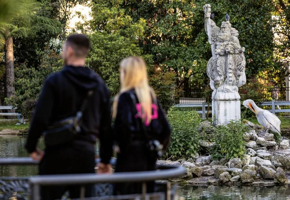 ���� � ������� ������ ����� � ���-5 ����������� ��� ��� �� 14 �������