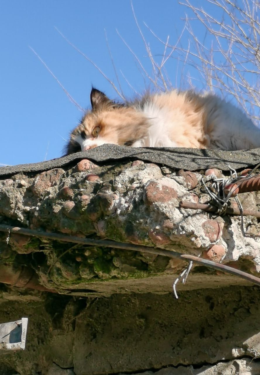 О погоде на 14 февраля. В Краснодарском крае переменная облачность О погоде на 14 февраля. В Краснодарском крае переменная облачность