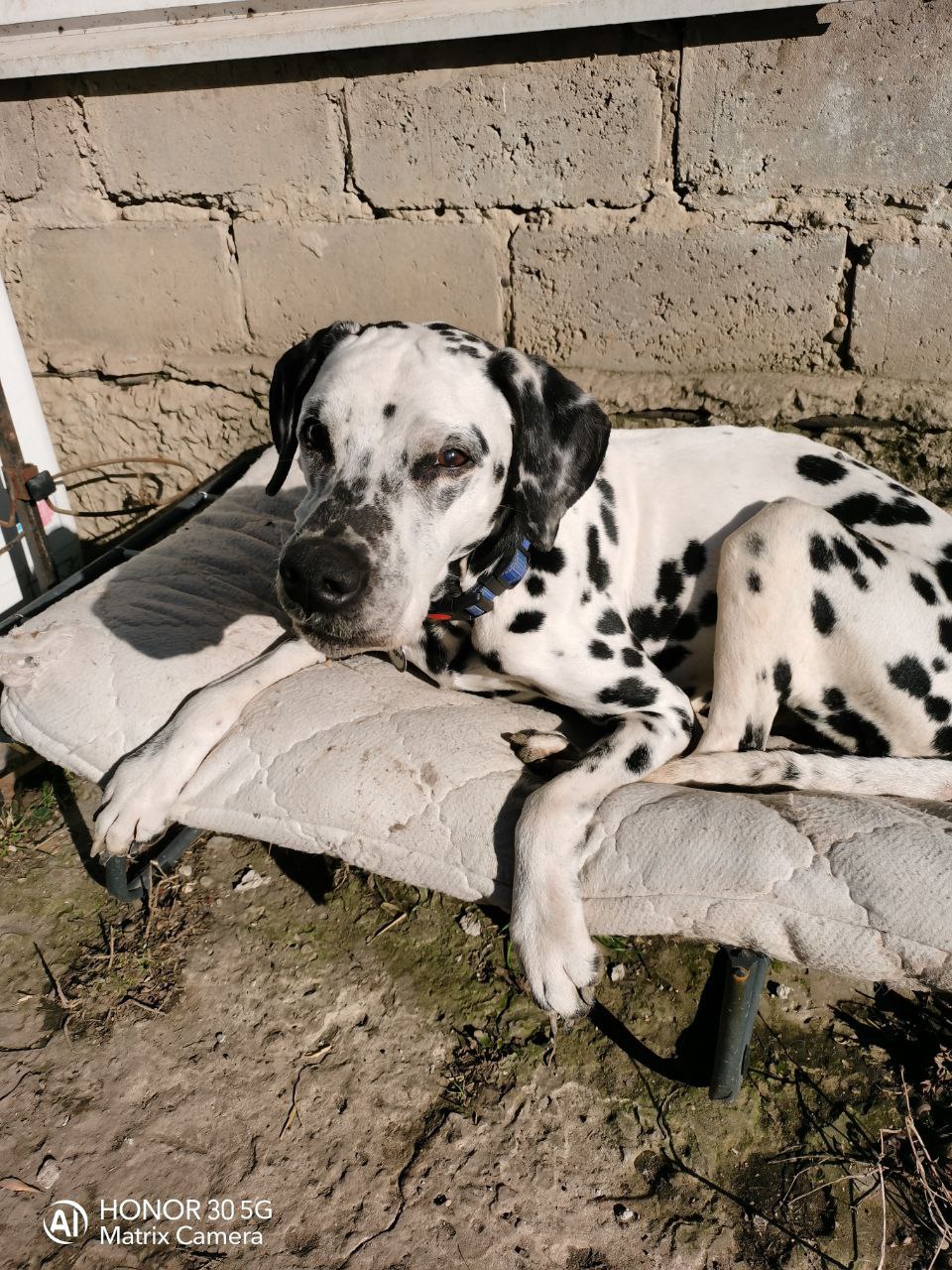 О погоде на 14 февраля. В Краснодарском крае переменная облачность О погоде на 14 февраля. В Краснодарском крае переменная облачность