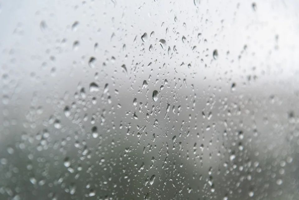 � ���� ��������� ������� �����