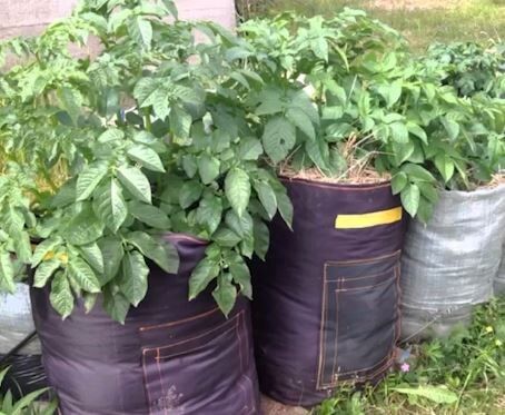 ������������ � ����������: ��� ��������, � ��� �������� �����������