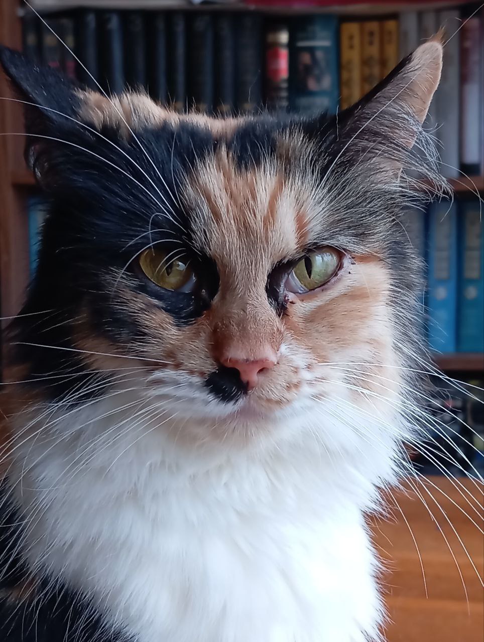 О погоде на 14 февраля. В Краснодарском крае переменная облачность О погоде на 14 февраля. В Краснодарском крае переменная облачность