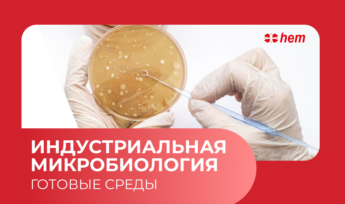 Значение проверки чистоты на пищевых производствах